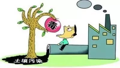 守护大地根基 土壤污染知多少及其防治服务