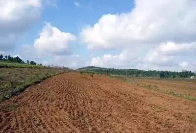 全球视野下的土壤治理 污染防治服务的国际经验与启示